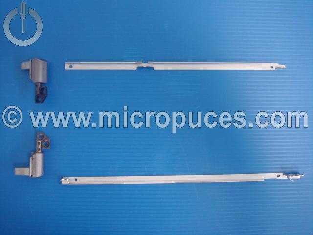 Jeu de charnières pour DELL Latitude C400