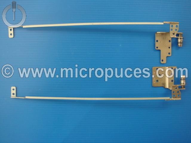Jeu de charnières pour ASUS P53E