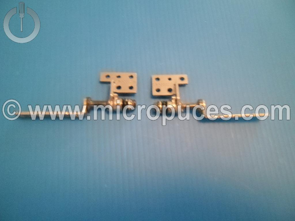 Jeu de charnières pour ASUS N550J
