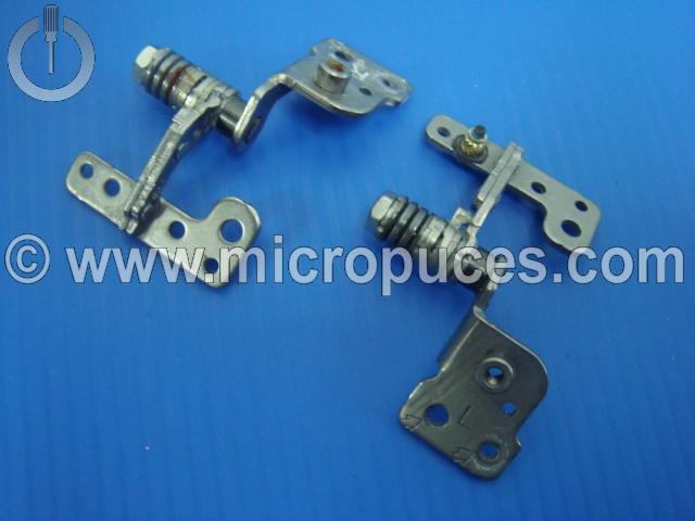 Jeu de charnières pour SAMSUNG RC530