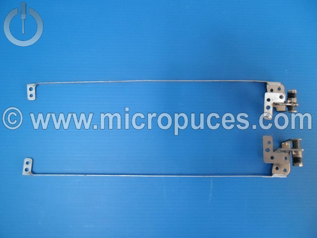 Jeu de charnières pour COMPAQ 615