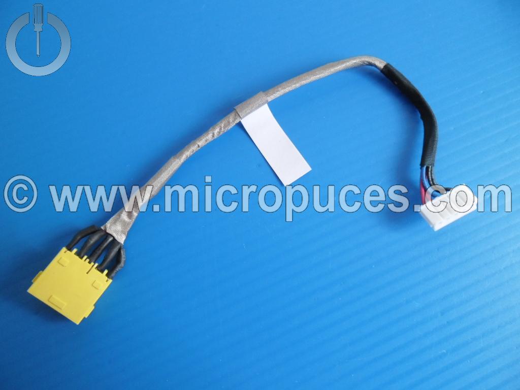 Câble alimentation pour carte mère de LENOVO G700 G710 Z710