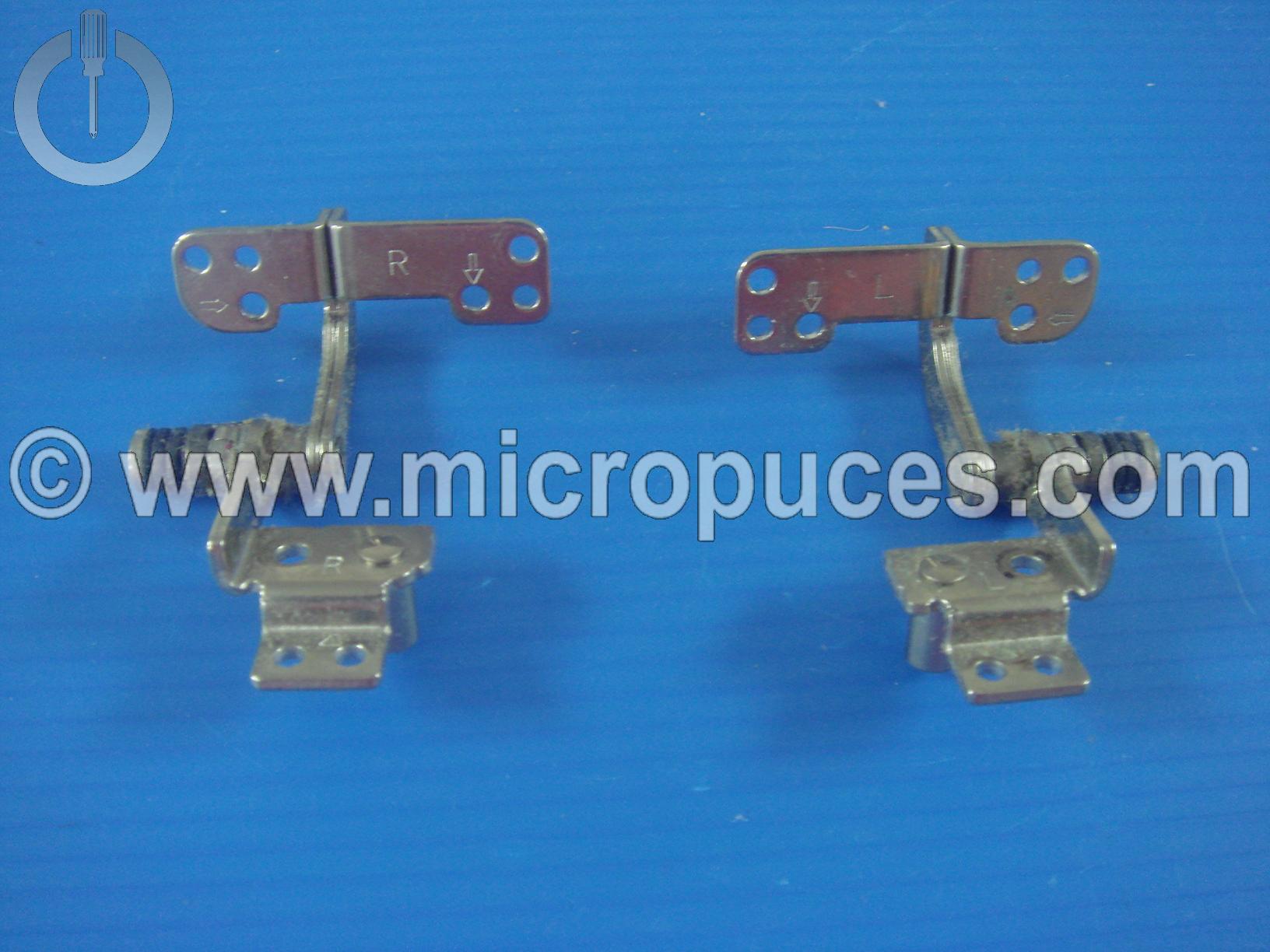 Charnières pour Samsung R519