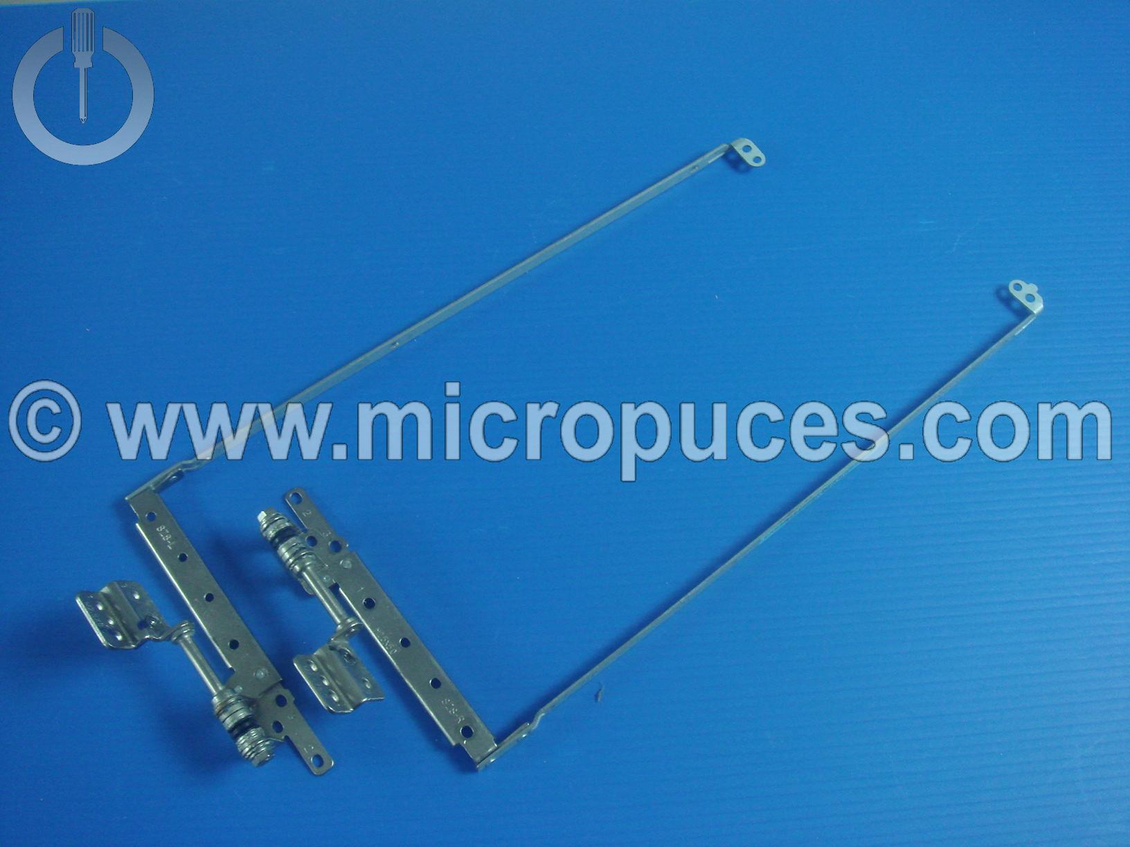 Jeu de charnières Toshiba Satellite L500 L505