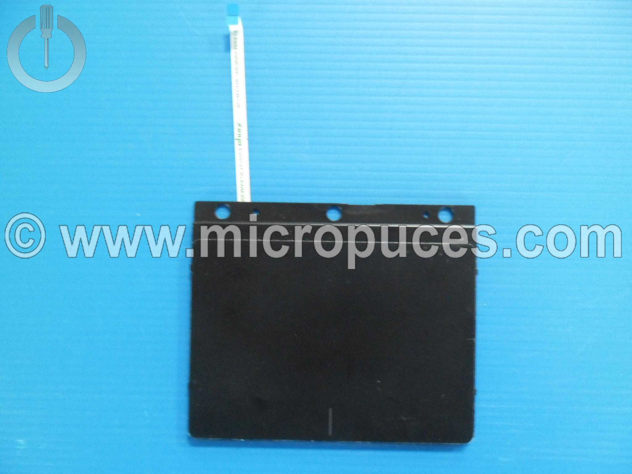 TouchPad pour ASUS P2520L