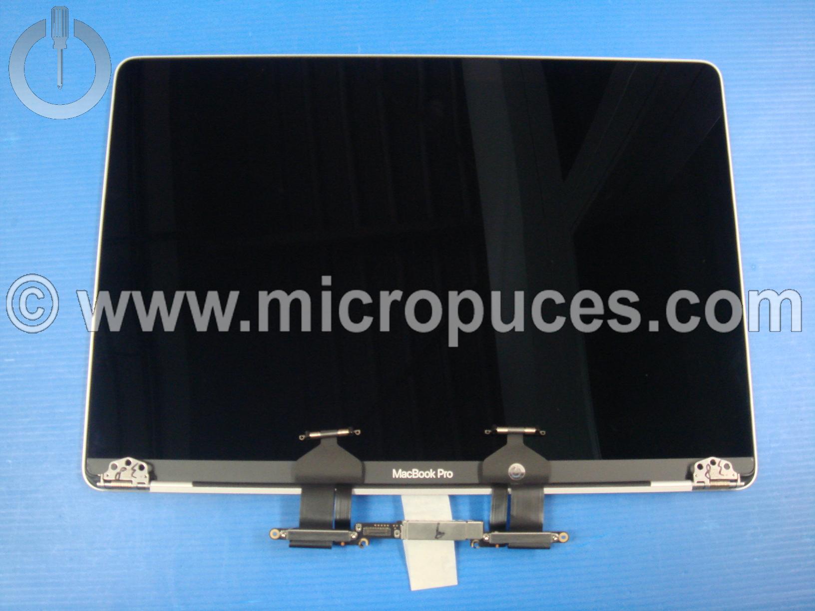 Module écran APPLE Macbook Pro 13" M2 A2338 2022 gris silver
