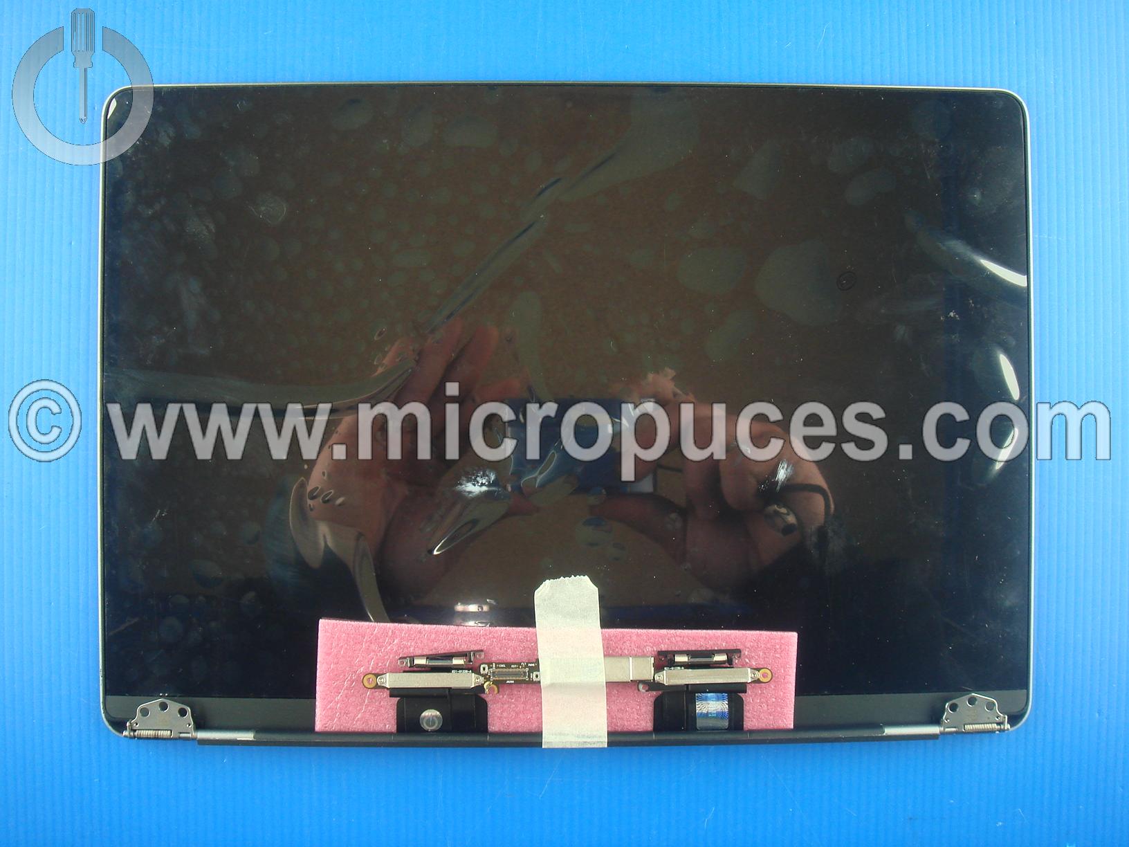 Module écran APPLE Macbook Pro 13" A2289 2020 gris sdéral