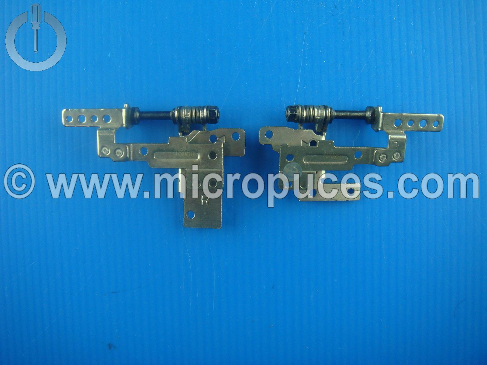 Charnières pour ASUS X302 R301