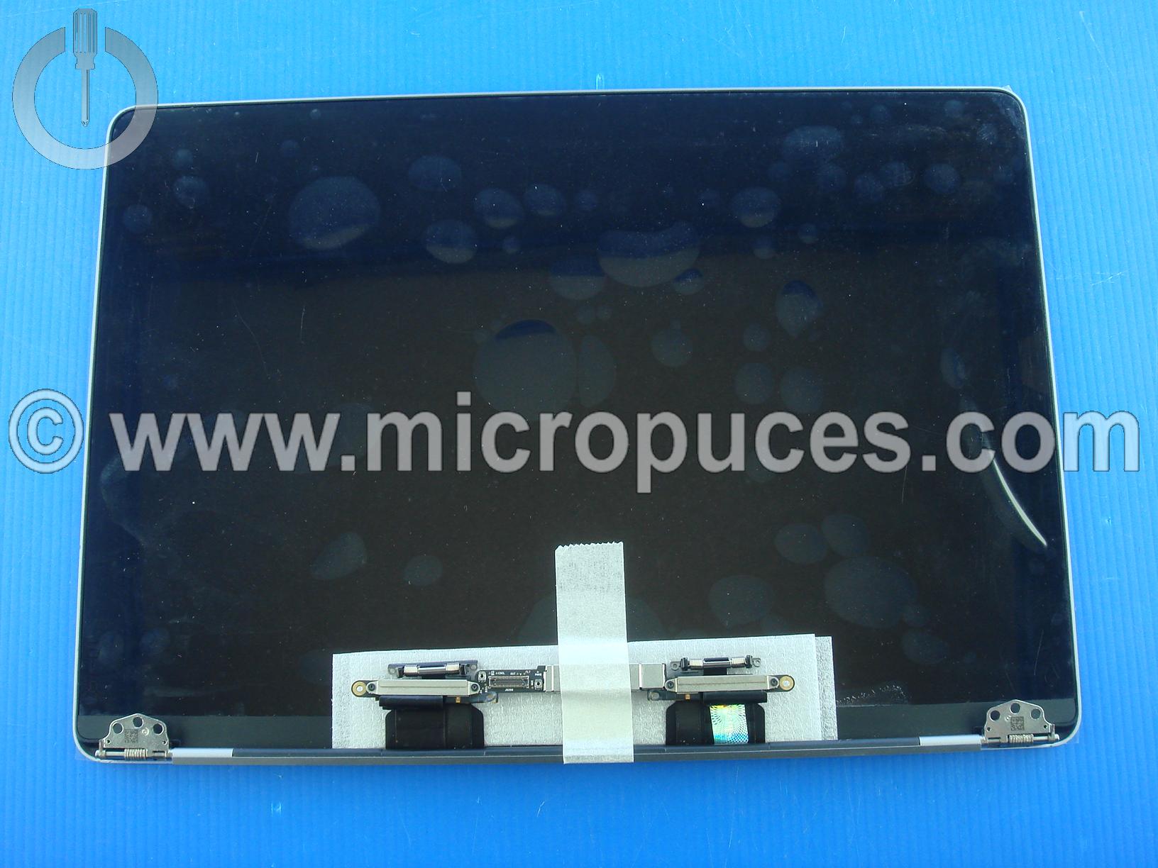 Module écran GRIS SIDERAL pour Macbook Pro 13" Rétina A1989 ( 2018 )