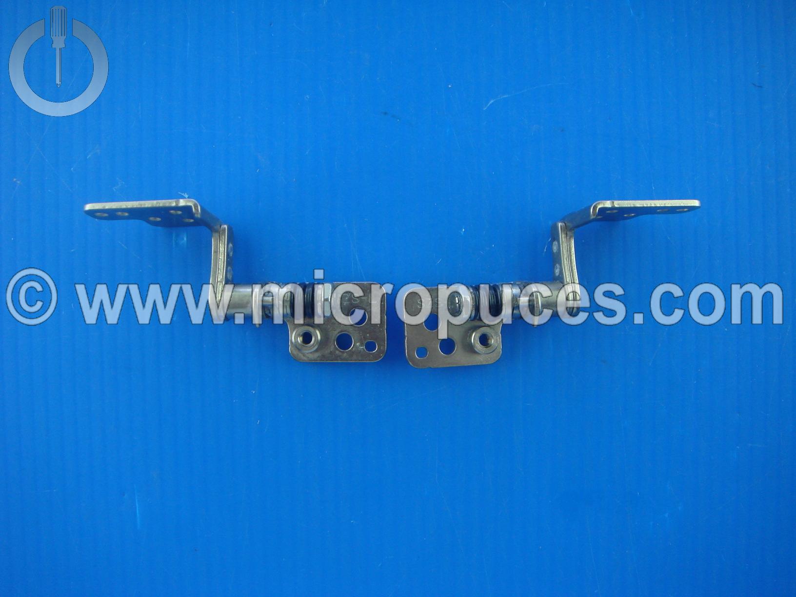 Charnières pour SONY PCG-81112M