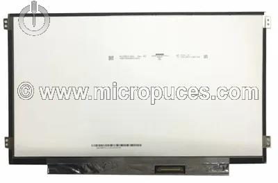 Ecran 11,6" HD