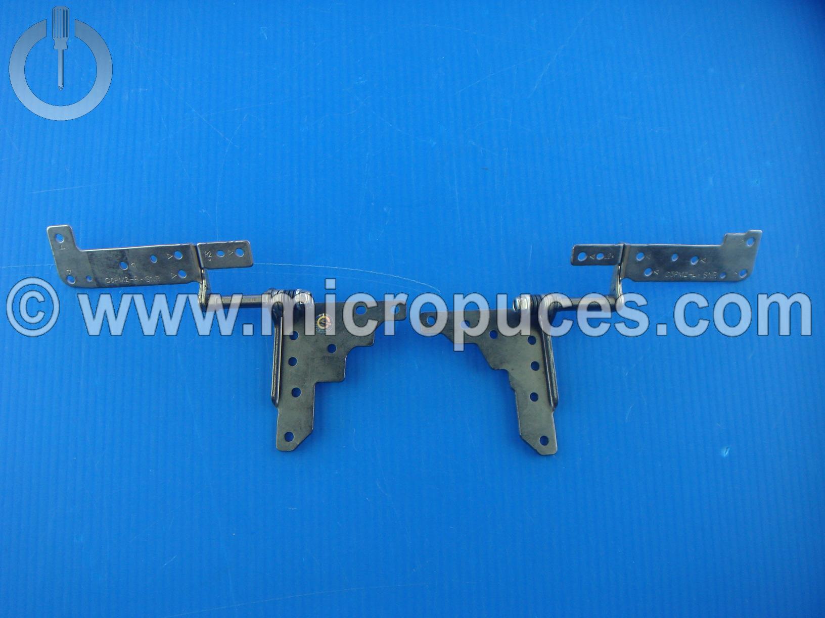 Jeu de charnires pour ACER Aspire VVX5-591G ou X15-591G