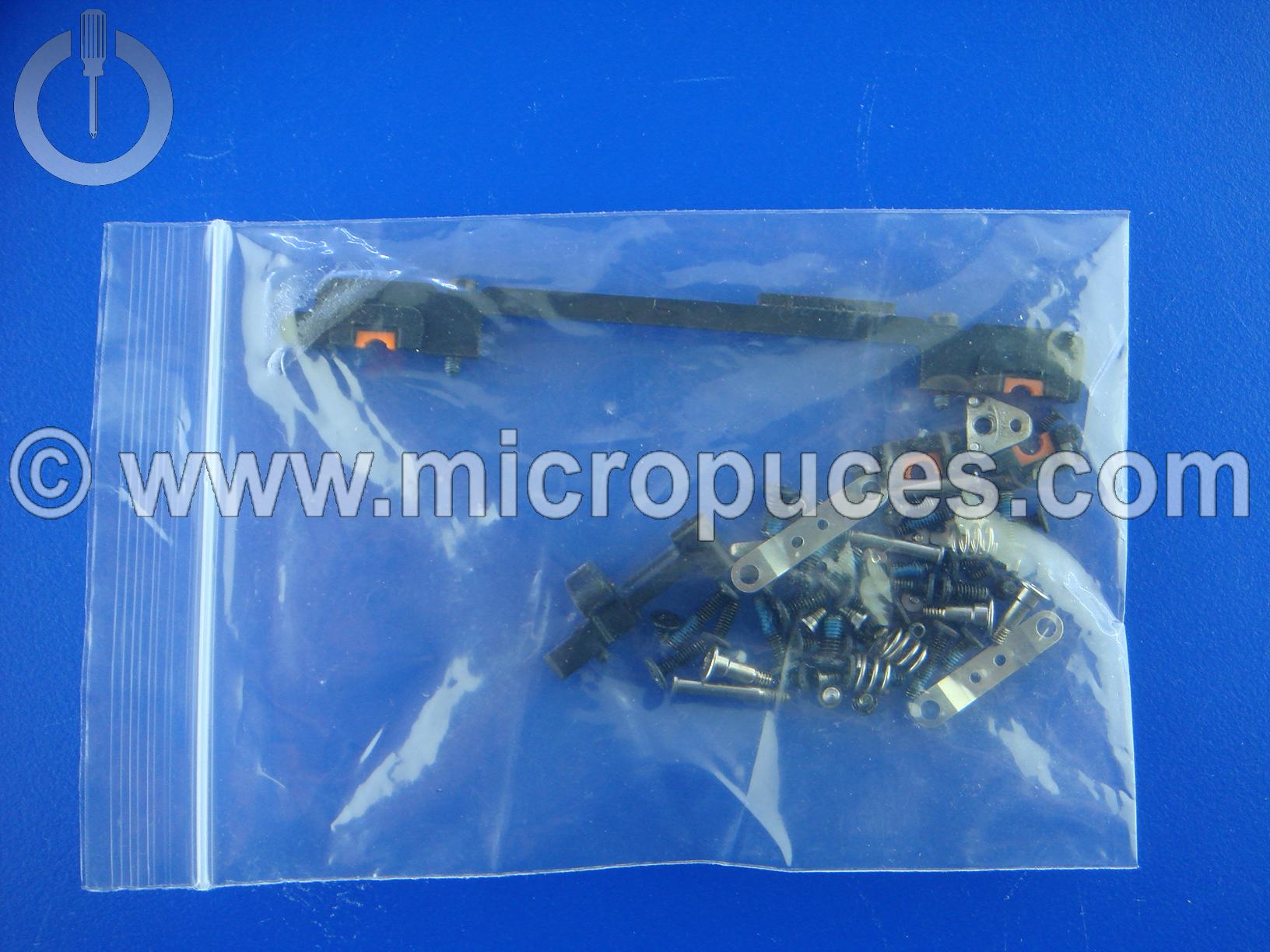 Visserie pour Macbook unibody Alu 13" A1278 2012