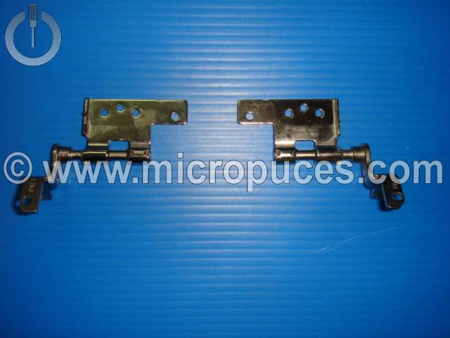 Jeu de charnières pour TOSHIBA Satellite P20
